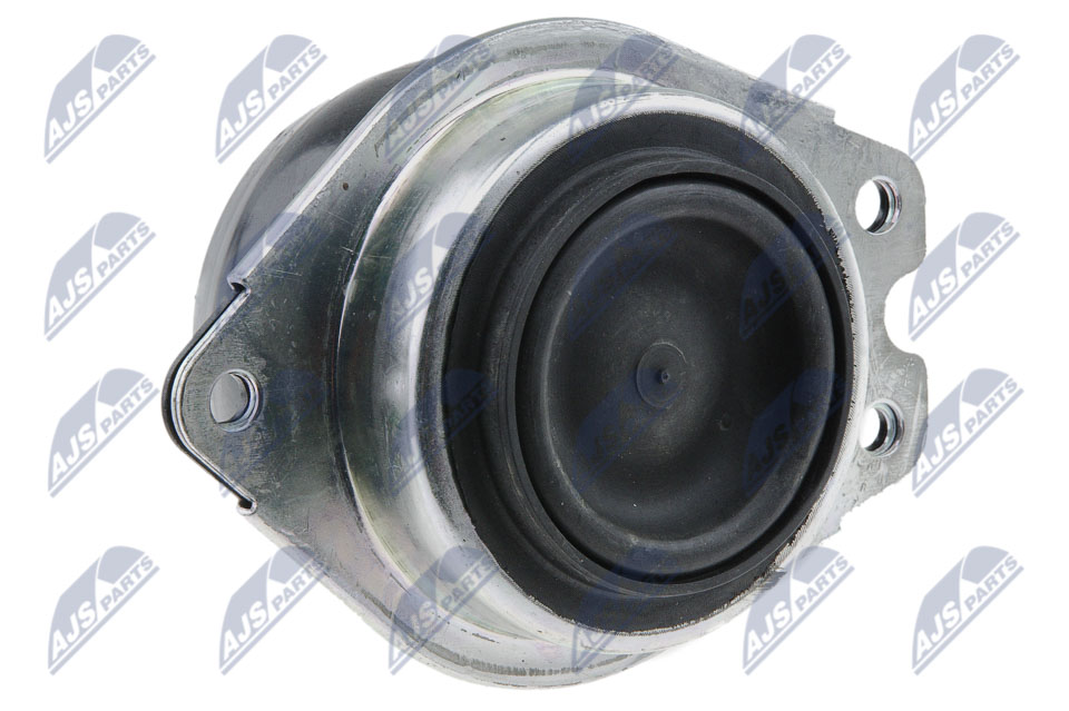 Engine Mounting - ZPS-RE-046 NTY