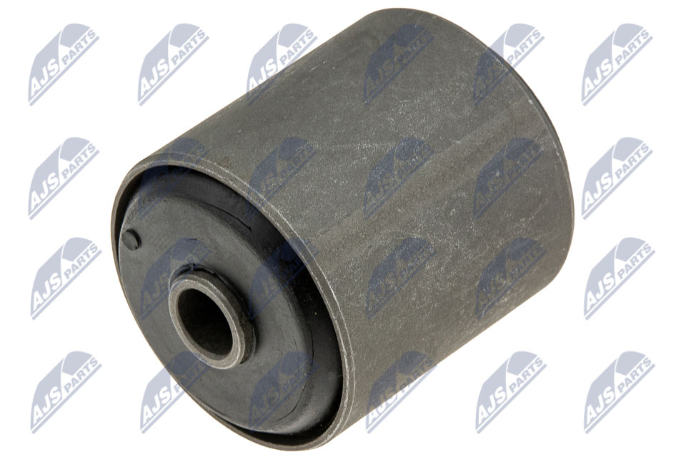 Mounting, leaf spring - ZTT-CH-007C NTY