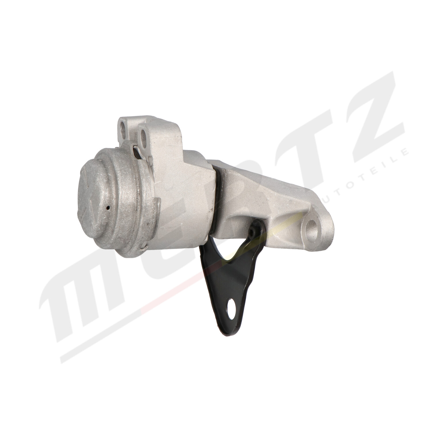 Engine Mounting - M-S4963 MERTZ