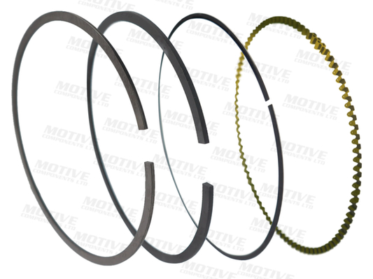 Kit fasce elastiche - 9054 MOTIVE
