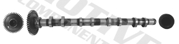 Camshaft - T4342 MOTIVE