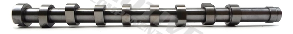 Camshaft - T1965 MOTIVE