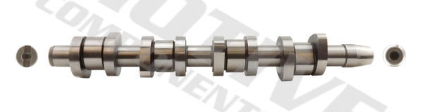 Albero a camme - T2616 MOTIVE