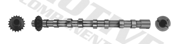 Camshaft - T4001 MOTIVE
