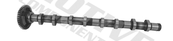 Camshaft - T4341 MOTIVE