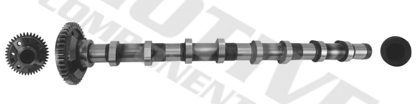 Camshaft - T4341 MOTIVE