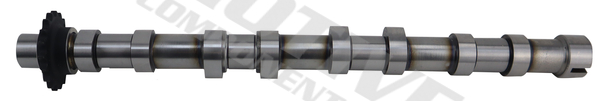 Camshaft - T4432 MOTIVE