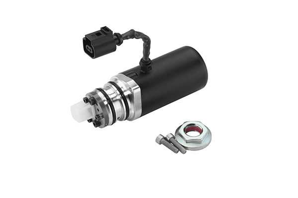 Pump, all-wheel-drive coupling - DS118589 BorgWarner (AWD)