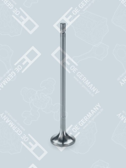 Inlet Valve - 03 0520 TD73E0 OE Germany