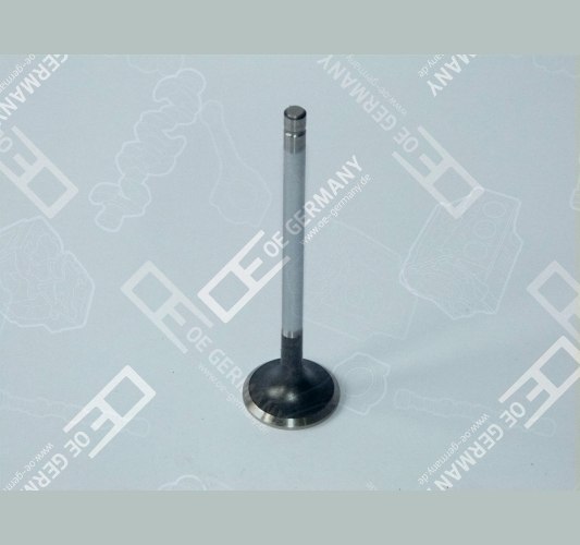 Outlet valve - 06 0520 XF9501 OE Germany