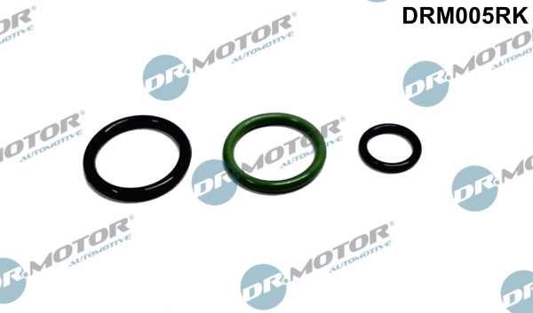 Repair Kit, pump-nozzle unit - DRM005RK Dr.Motor Automotive