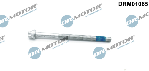 Screw, injection nozzle holder - DRM01065 Dr.Motor Automotive
