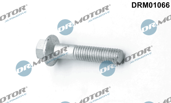 Screw, injection nozzle holder - DRM01066 Dr.Motor Automotive