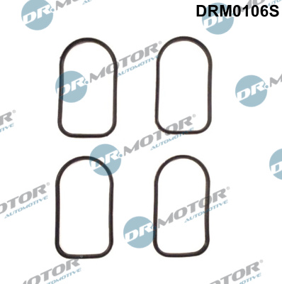 Kit guarnizioni, Collettore aspirazione - DRM0106S Dr.Motor Automotive