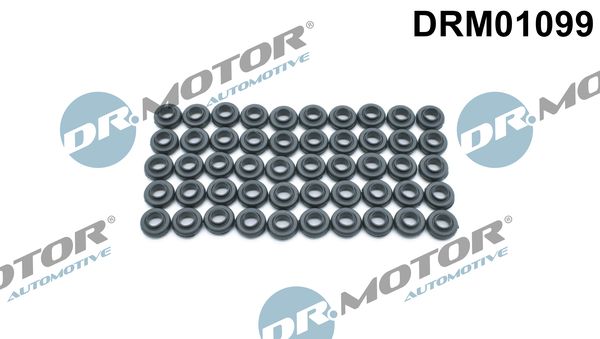 Guarnizione, Bulloni copritestata - DRM01099 Dr.Motor Automotive