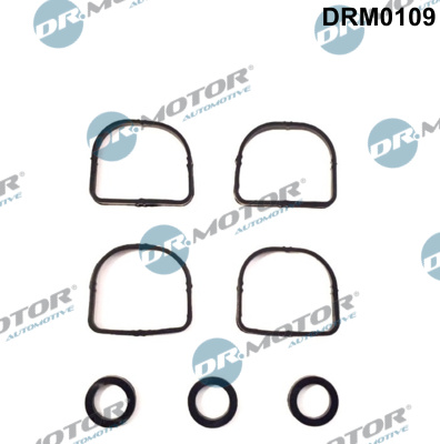 tarpiklių rinkinys, įsiurbimo kolektorius - DRM0109 Dr.Motor Automotive