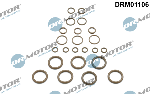 remonto komplektas, oro kondicionierius - DRM01106 Dr.Motor Automotive