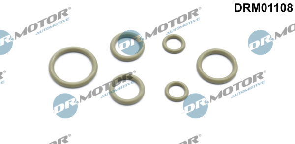 remonto komplektas, oro kondicionierius - DRM01108 Dr.Motor Automotive