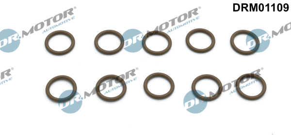 remonto komplektas, oro kondicionierius - DRM01109 Dr.Motor Automotive