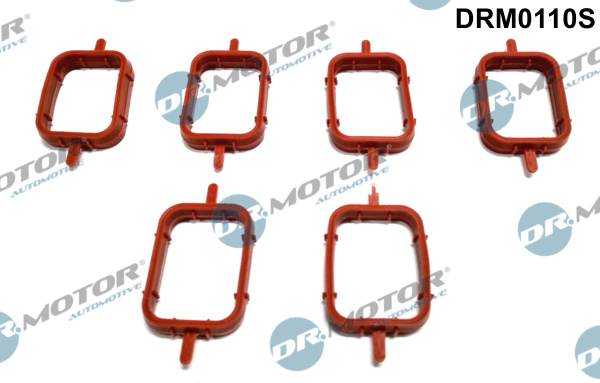 Gasket Set, intake manifold - DRM0110S Dr.Motor Automotive