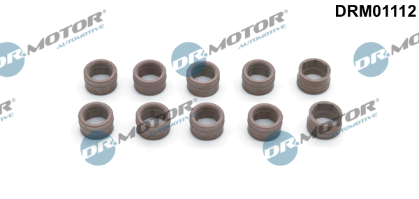 remonto komplektas, oro kondicionierius - DRM01112 Dr.Motor Automotive