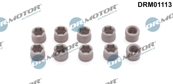 remonto komplektas, oro kondicionierius - DRM01113 Dr.Motor Automotive