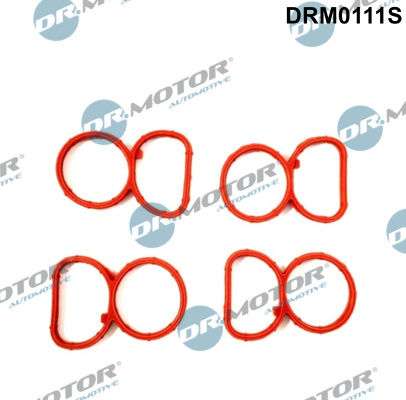 Gasket Set, intake manifold - DRM0111S Dr.Motor Automotive