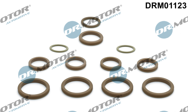 remonto komplektas, oro kondicionierius - DRM01123 Dr.Motor Automotive