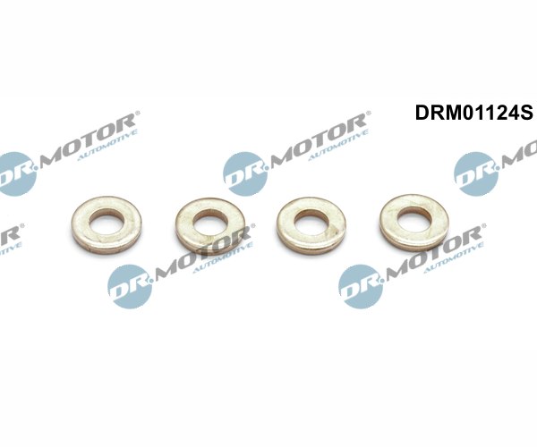 Heat Shield, injection system - DRM01124S Dr.Motor Automotive