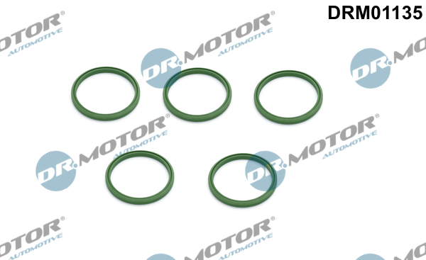 Seal Ring, turbo air hose - DRM01135 Dr.Motor Automotive