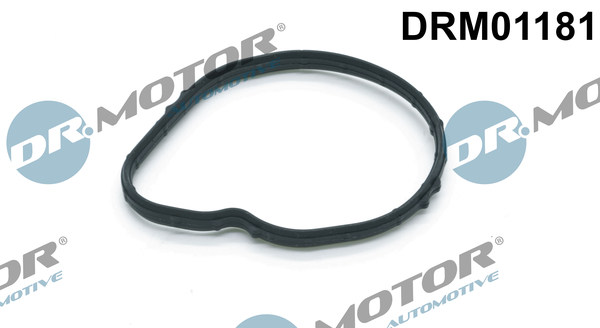 Guarnizione, Termostato - DRM01181 Dr.Motor Automotive