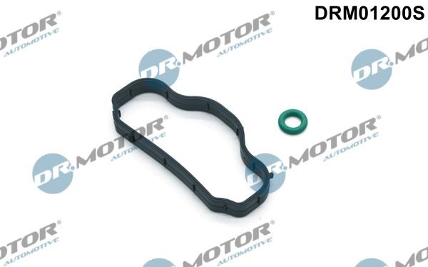 Kit guarnizioni, Copritestata - DRM01200S Dr.Motor Automotive