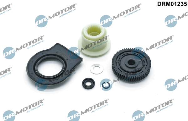 Remonto reikmenų kompl., pavarų dėžės išėjimo velenas (APD) - DRM01235 Dr.Motor Automotive