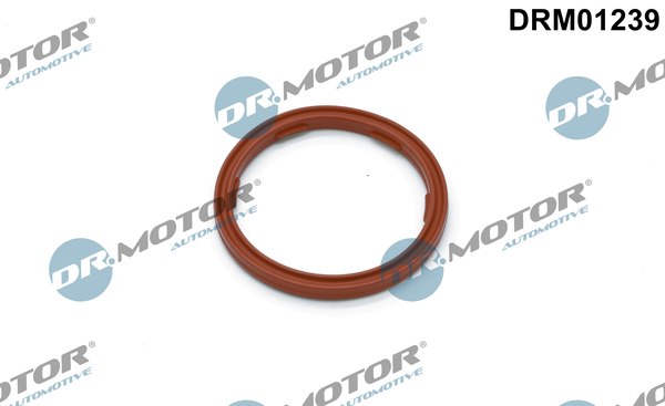 Anello tenuta, Sensore livello olio - DRM01239 Dr.Motor Automotive