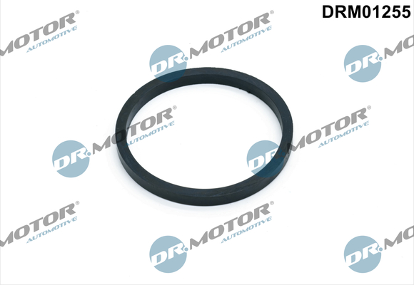 Guarnizione, Radiatore olio - DRM01255 Dr.Motor Automotive