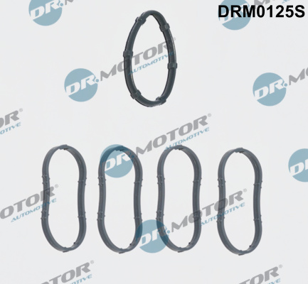 tarpiklių rinkinys, įsiurbimo kolektorius - DRM0125S Dr.Motor Automotive