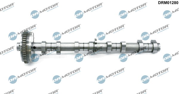 Albero a camme - DRM01280 Dr.Motor Automotive