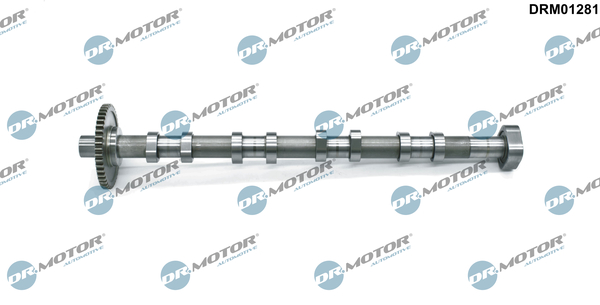 Camshaft - DRM01281 Dr.Motor Automotive