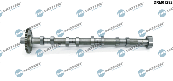 Albero a camme - DRM01282 Dr.Motor Automotive
