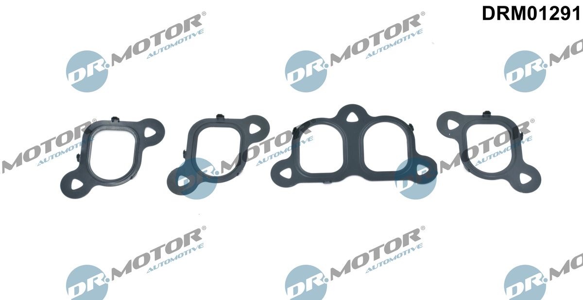 Gasket Set, intake manifold - DRM01291 Dr.Motor Automotive