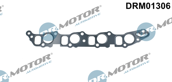 Guarnizione, Collettore aspirazione - DRM01306 Dr.Motor Automotive
