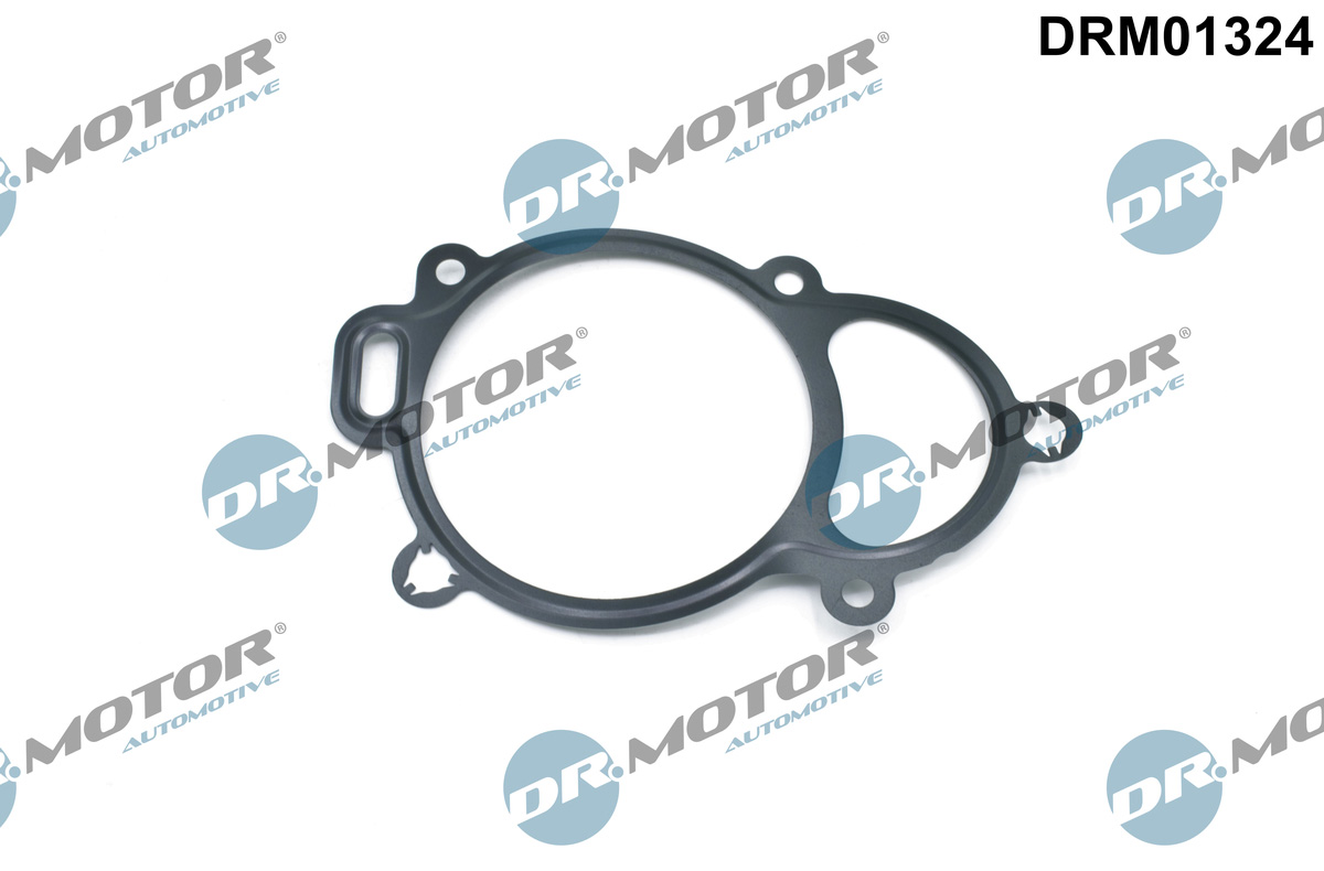 Seal, camshaft adjustment - DRM01324 Dr.Motor Automotive