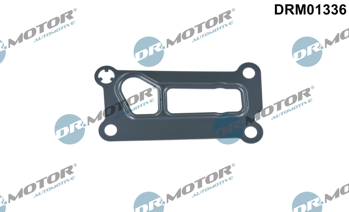 Seal, oil filter housing - DRM01336 Dr.Motor Automotive