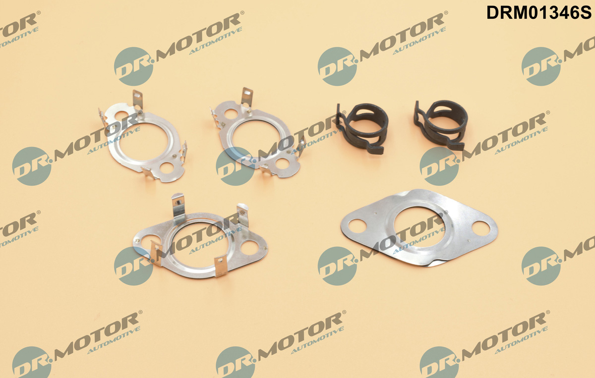 tarpiklių rinkinys, AGR sistema - DRM01346S Dr.Motor Automotive