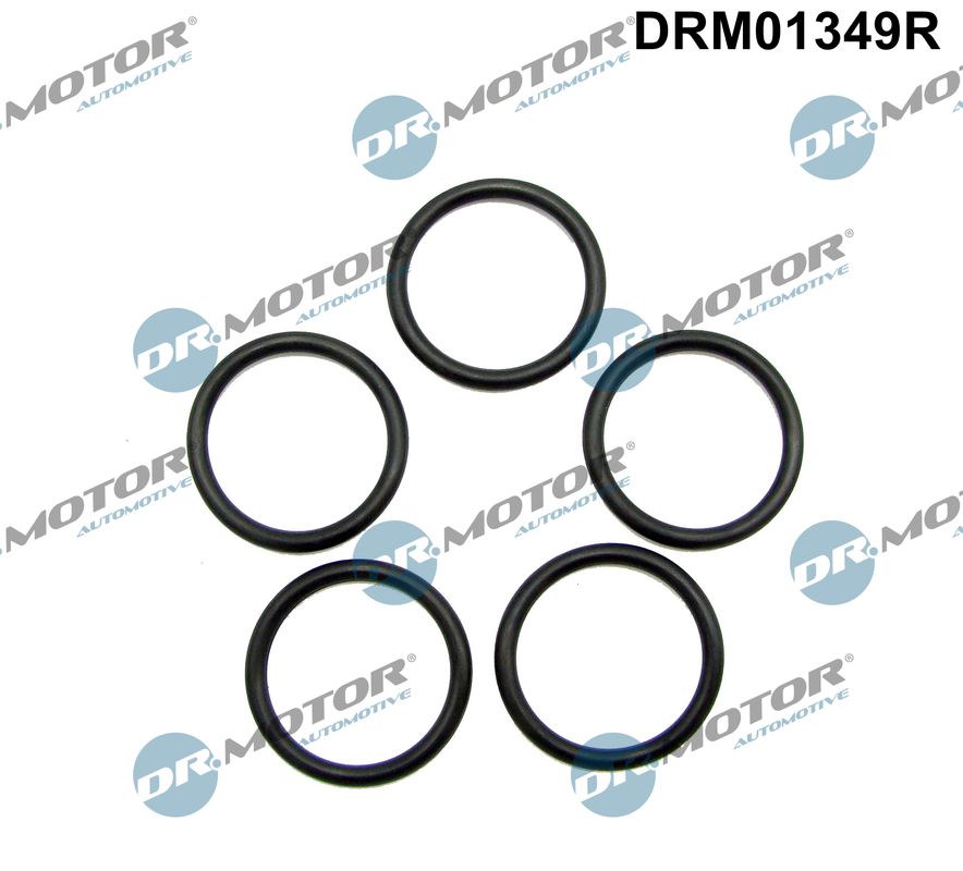 Anello di tenuta, vite di scarico olio - DRM01349R Dr.Motor Automotive