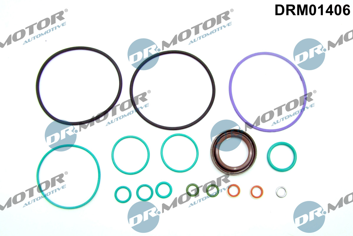 Repair Kit, fuel pump - DRM01406 Dr.Motor Automotive