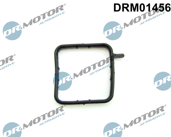 Seal, coolant pipe - DRM01456 Dr.Motor Automotive
