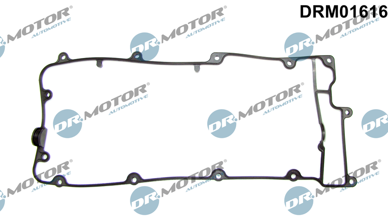 Guarnizione, Copritestata - DRM01616 Dr.Motor Automotive