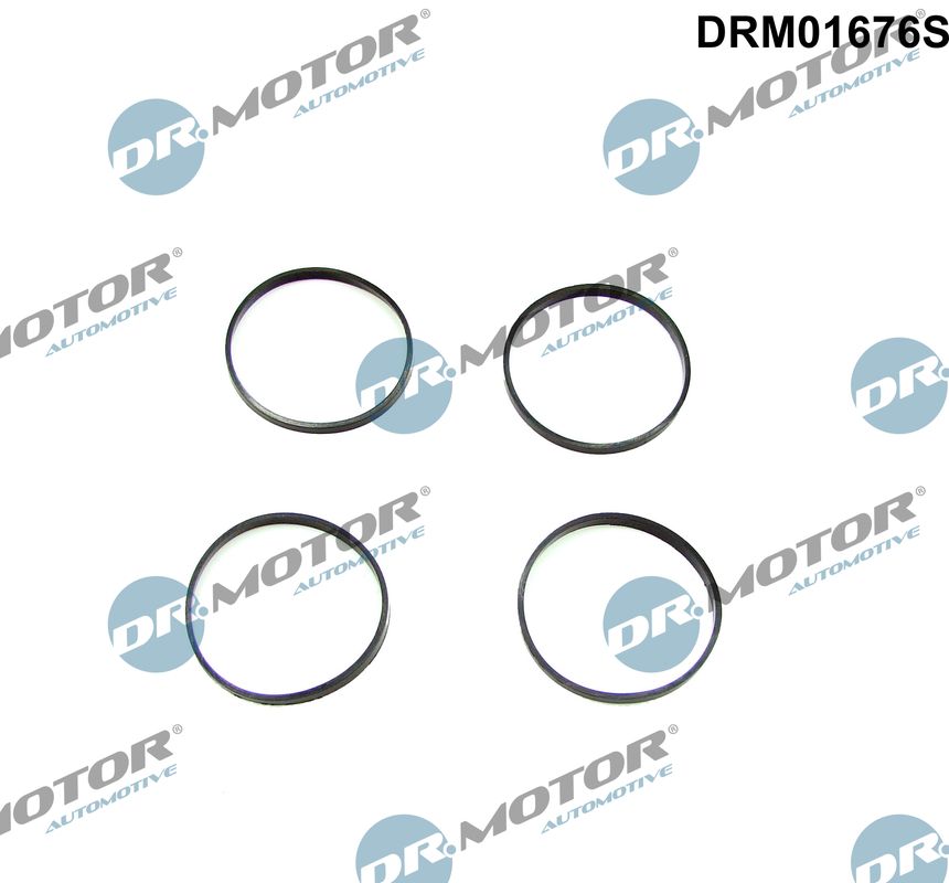 tarpiklių rinkinys, įsiurbimo kolektorius - DRM01676S Dr.Motor Automotive