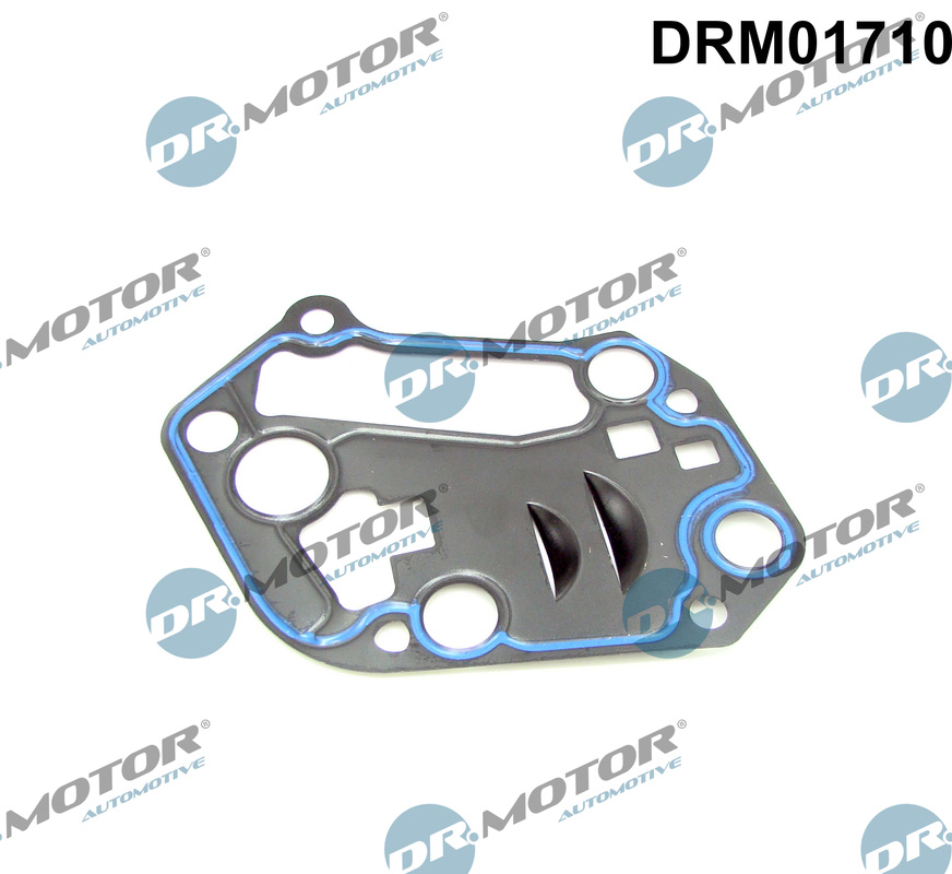 Seal, oil filter housing - DRM01710 Dr.Motor Automotive